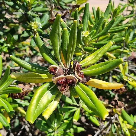 Cabo Cervera Primera Linea De Lujo 아파트